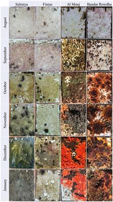 Monthly Succession of Biofouling Communities and Corresponding Inter-Taxa Associations in the North- and South-West of the Arabian Gulf